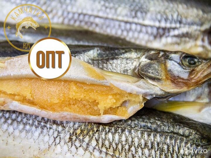 Корюшка вяленая оптом