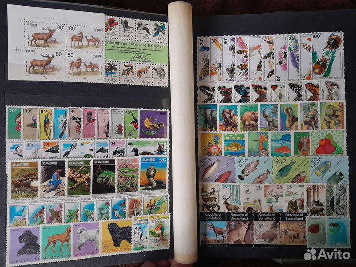 Марки чистые фауна альбом 2