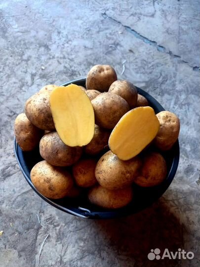 Продам Тамбовский картофель