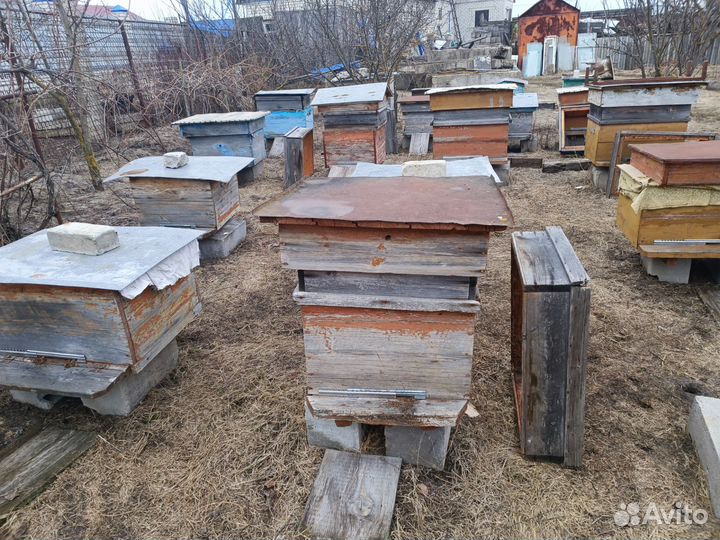 Ульи для пчел бу