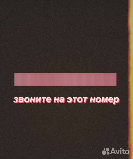 Бычки телки