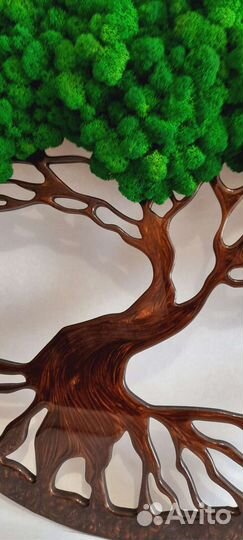 Картина из стабилизированного мха