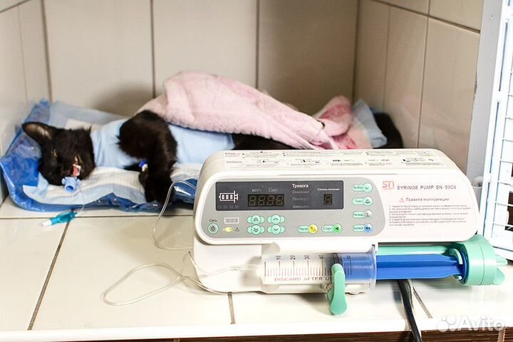 Ветеринар с выездом на дом. 24\7. г. Химки