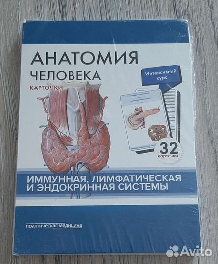 Анатомия человека. Карточки