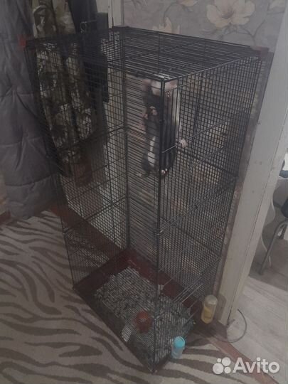 Клетка для грызунов большая
