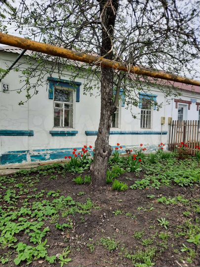 Дом 53 м² на участке 6 сот.