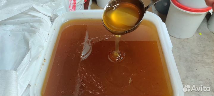 Свежий мед оптом майский