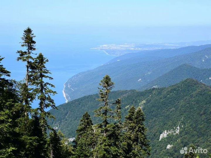 Выше облаков в Абхазии