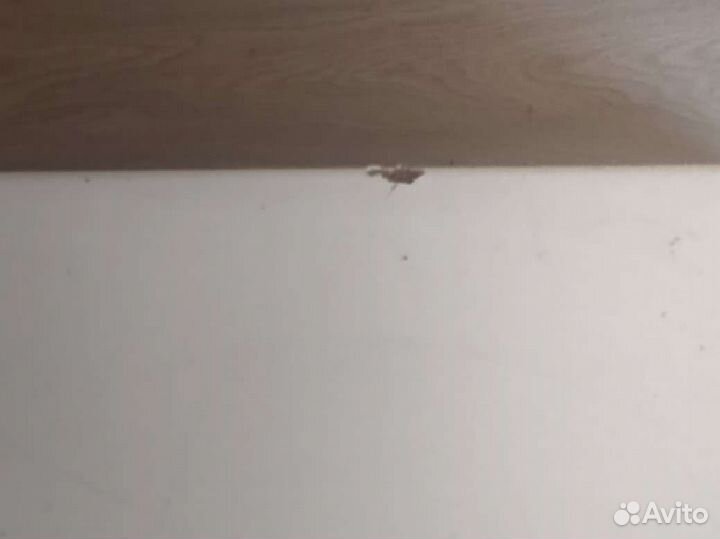 Стеллаж Труфаст (trofast) от IKEA