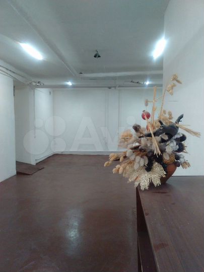 Детский центр, свободного назначен, выставка 66 кв