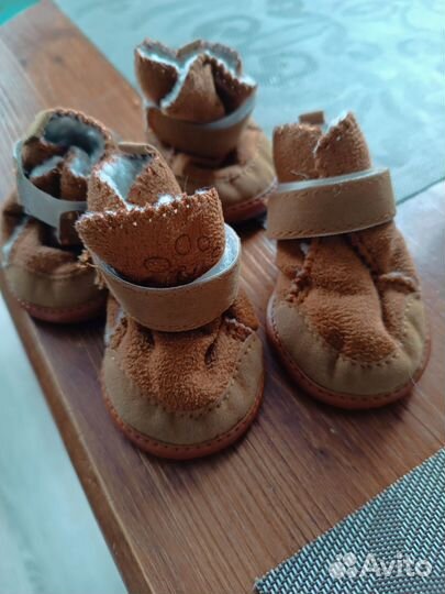 Сапожки для собак