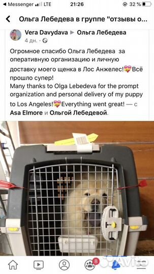 Международная авиа перевозка животных: Европа США