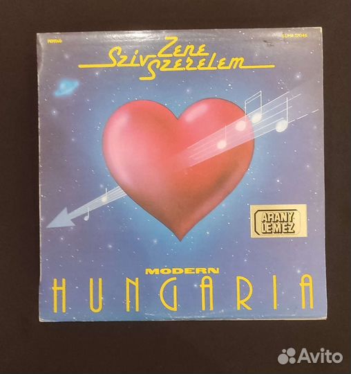 Виниловая пластинка