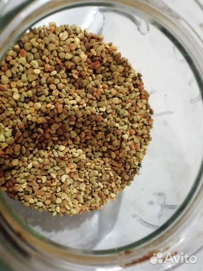 Обножка пчелиная / пыльца 2023