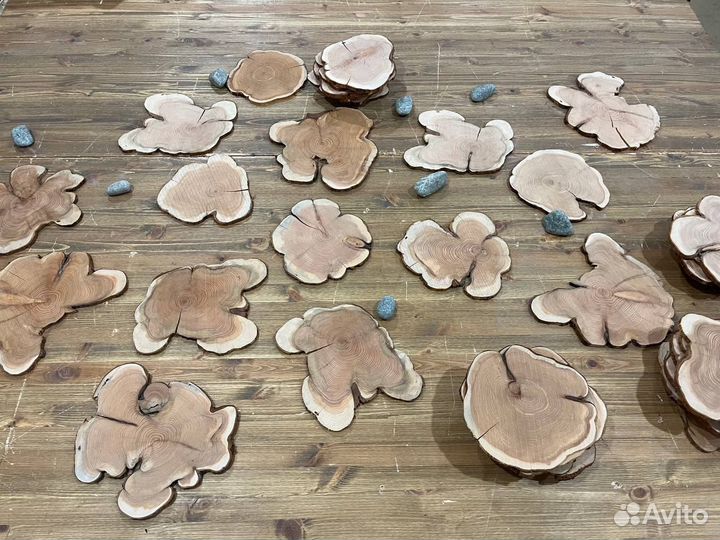 Спилы можжевельника