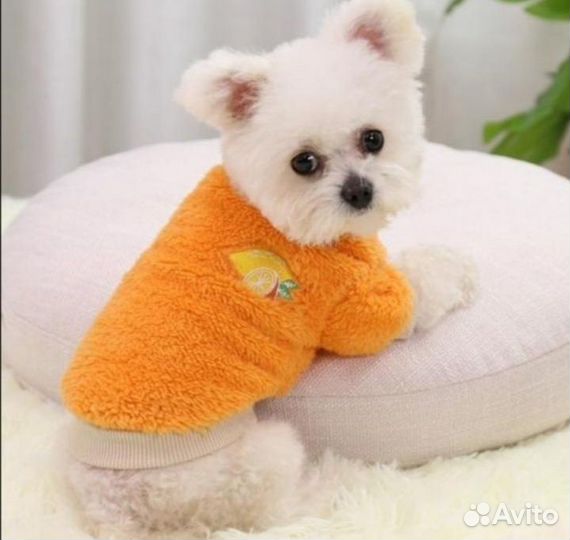 Толстовка для собак