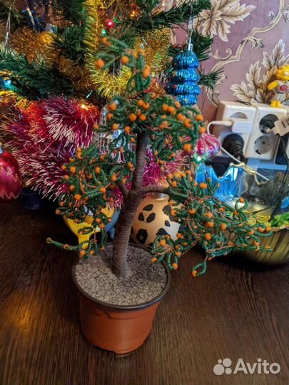 Апельсиновое дерево