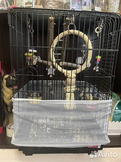 Клетка для попугая корелла