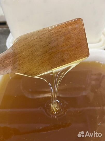 Липовый мёд. Качка 2023 г. Оптом