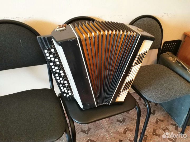 Баян, Молодечно