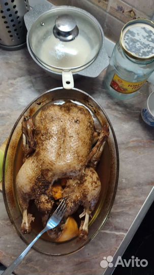 Мясо индейки, курицы, утки