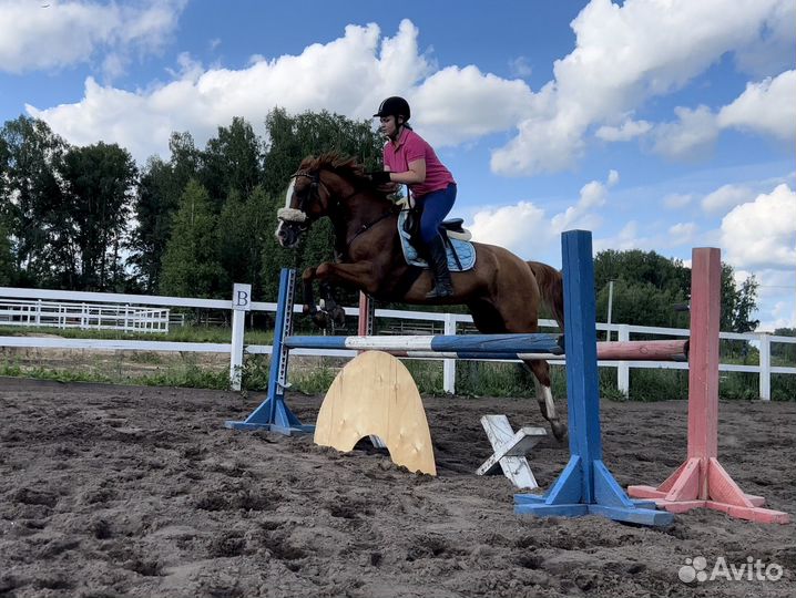 Занятия верховой ездой