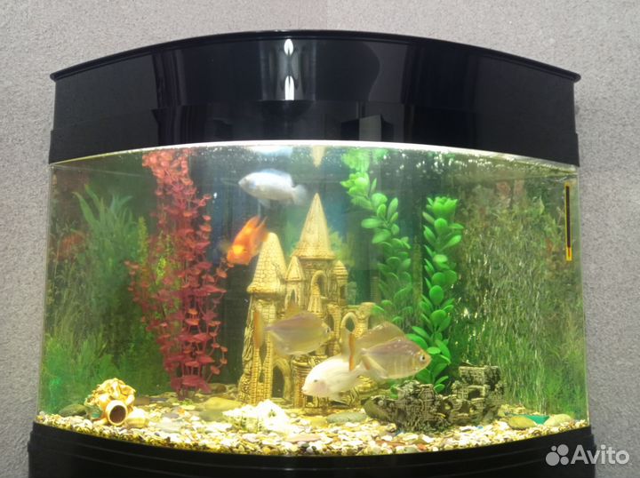 Украшения для аквариума