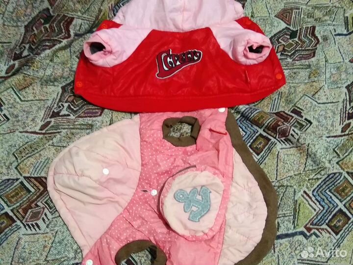 Одежда для маленьких собак