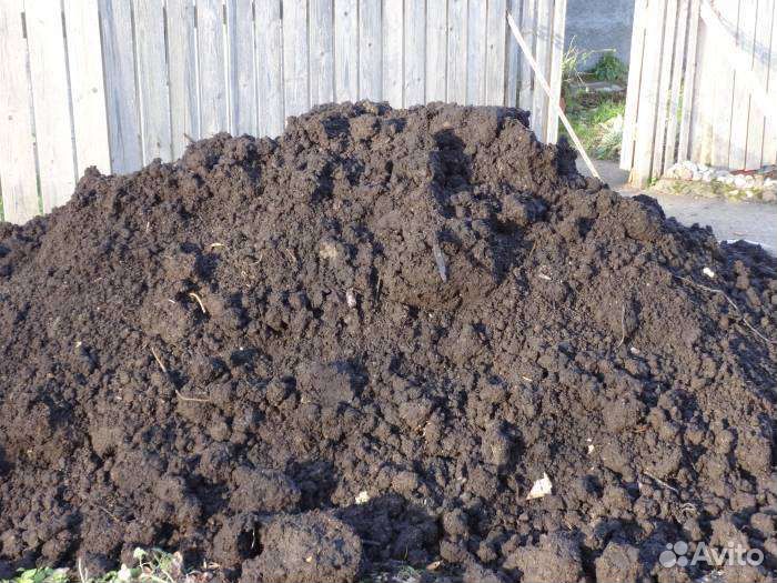 Приму любой грунт