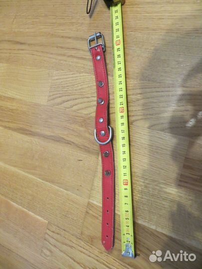 Ошейник для маленькой собачки