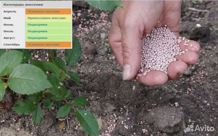 Удобрение нитроаммофоска оптом от 100кг