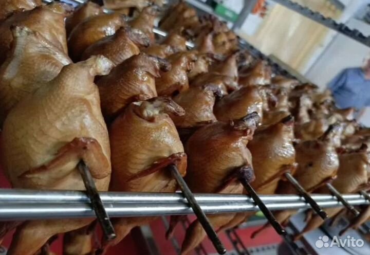 Мясо перепела (оптом и в розницу)