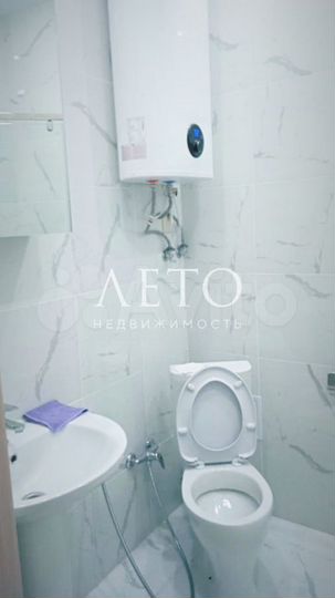 1-к. апартаменты, 24,3 м², 2/3 эт.