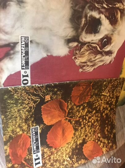 Коллекция журналов 