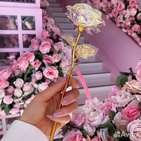 Роза в подарок 8 марта