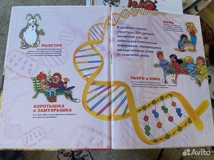 Тело человека (деагостини) +2 модели с органами