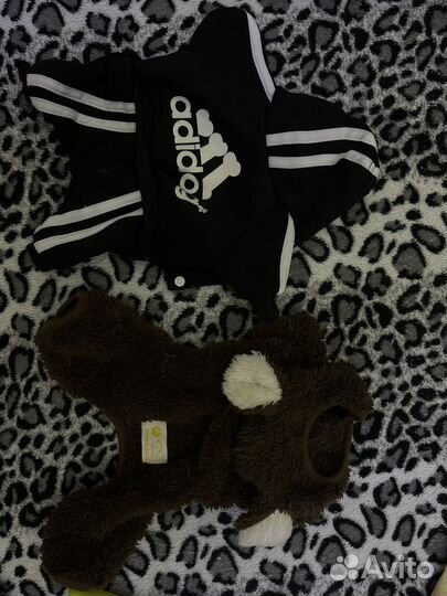 Одежда для маленьких собак