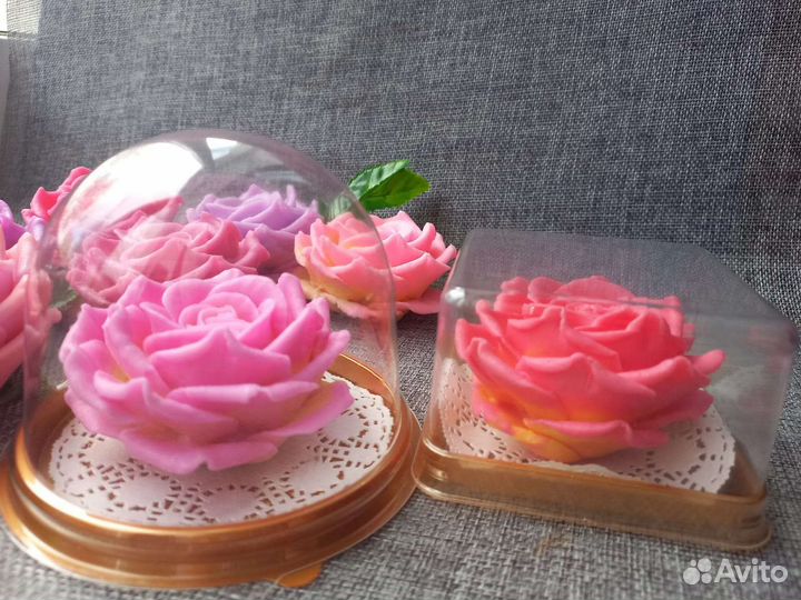 Розы в куполе