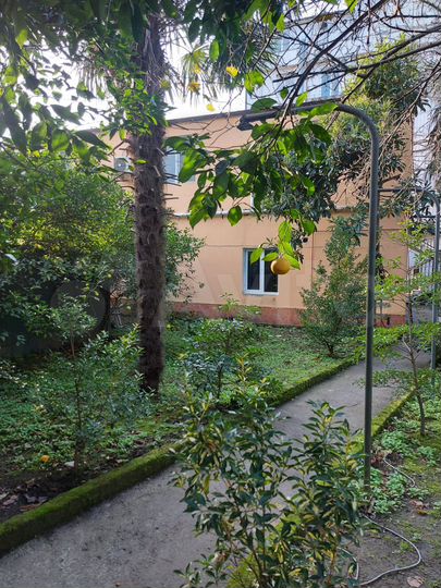 Гостиница 259 м² (Грузия)