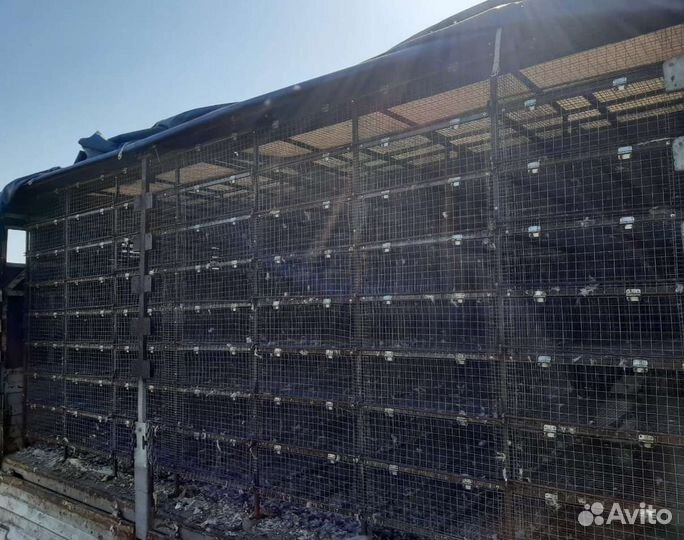 Клетка для перевозки кур