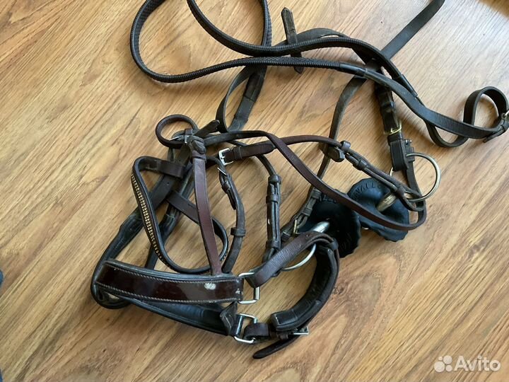 Конное снаряжение acavallo