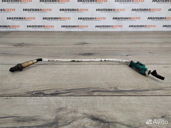 Датчик кислородный (положение 1) ford Focus 2