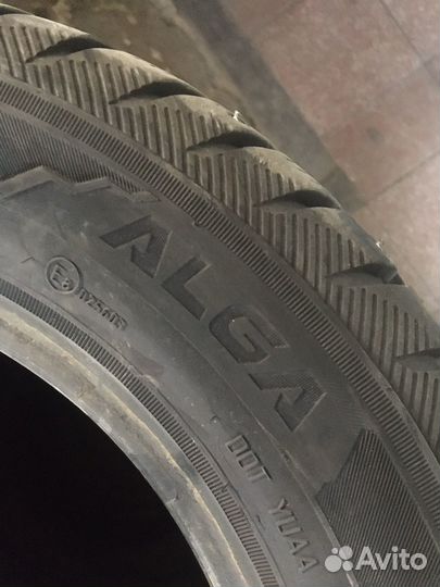 КАМА Alga (HK-531) 175/65 R14 86