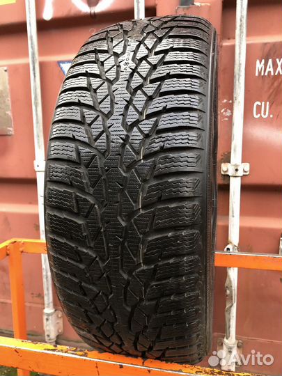 Nokian Tyres WR D4 205/50 R17