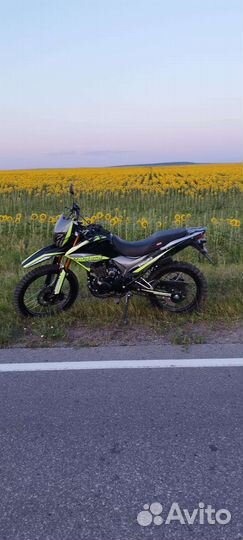 Motoland ST 250 neon