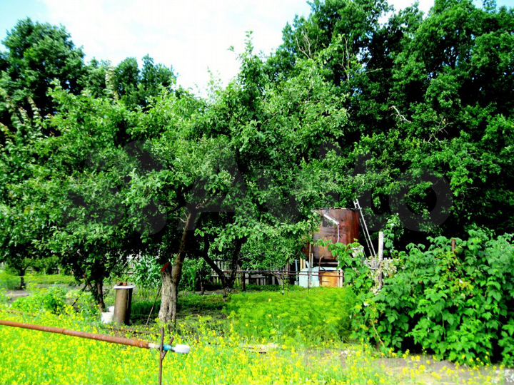 Дача 20 м² на участке 15 сот.