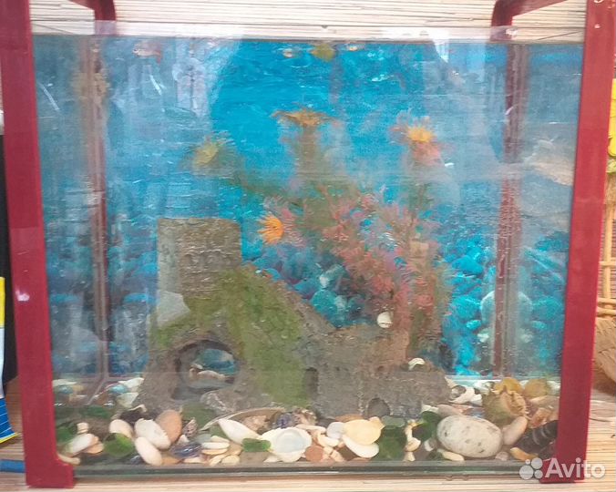 Аквариум с гуппи