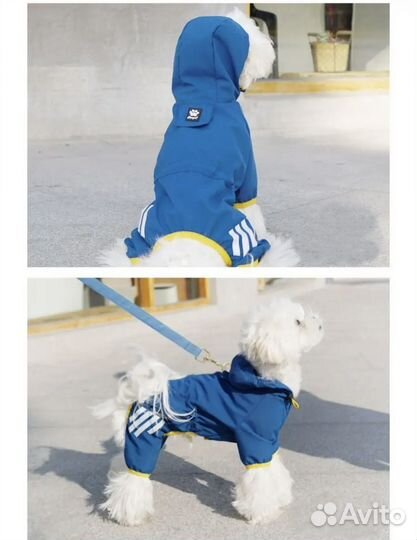 Одежда для собак мелких пород
