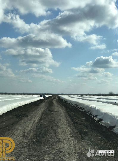 Дуги для теплиц 4 мм