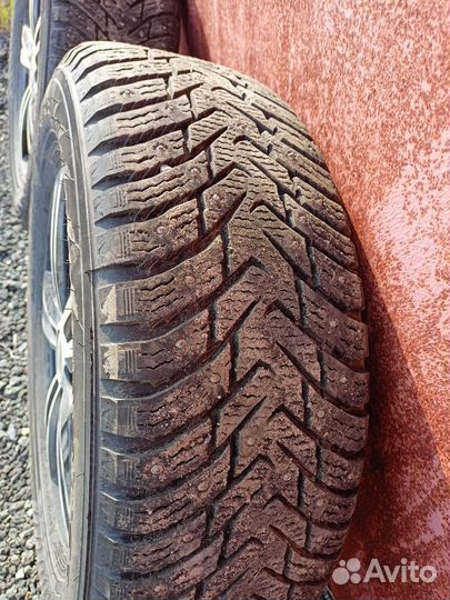 Зимняя резина Nokian Tyres Nordman 8 suv